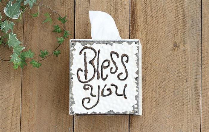 "BLESS You" Tissue Box